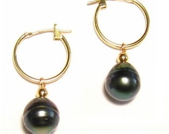 Genuine Tahitian Black Pearl 14K Yellow Or White Gold Hoop Earrings