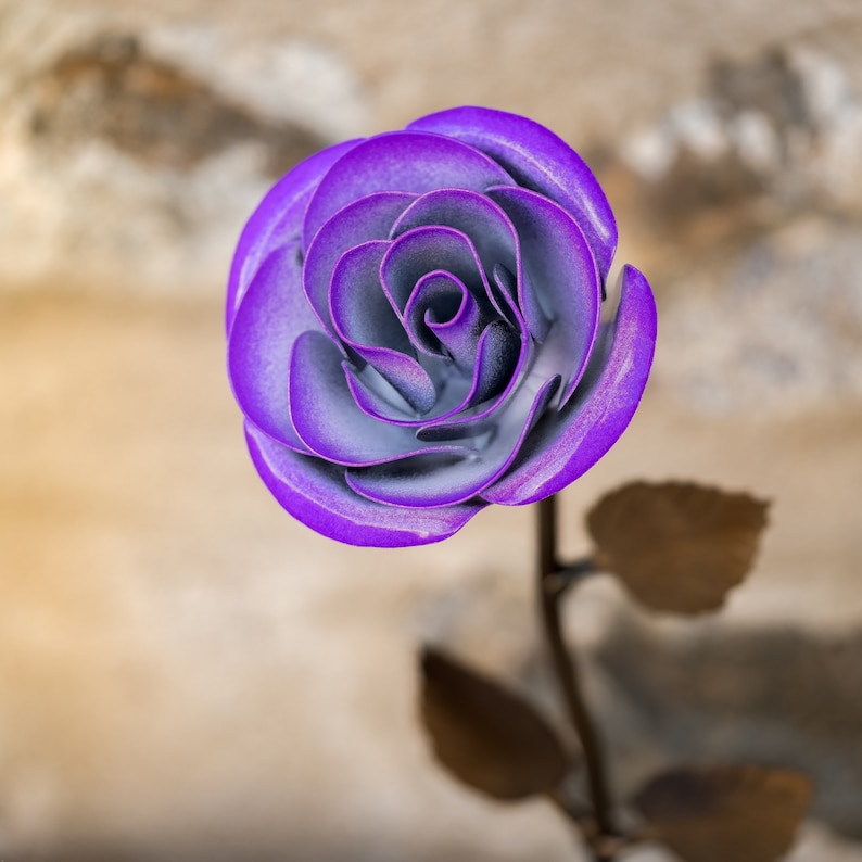 Personalized Gift Hand-Forged Purple & White Metal Rose Iron Anniversary 30th Birthday For Her 50th Birthday Gift image 4