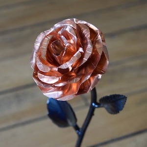 Copper Rose 7th Anniversary Personalized Wedding Gift image 6