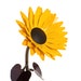 see more listings in the Metal Flowers section