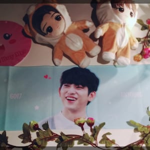 Slogan - GOT7 Jinyoung Fan Slogan Got 7 Korean Kpop Jin young Towel Poster