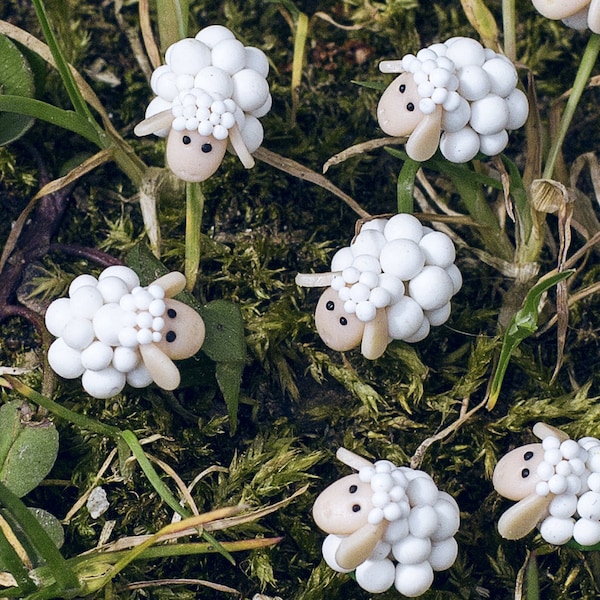 Moutons - puce boucle d'oreille