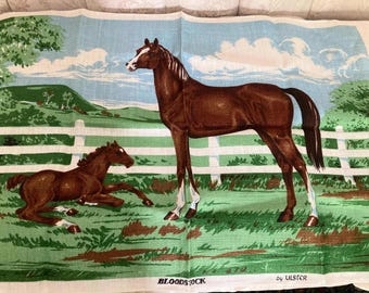 Könnte beinhalten: Vintage Stoffpaneel mit einem braunen Pferd und einem Fohlen auf einer grünen Wiese mit weißem Zaun. Der Hintergrund zeigt einen blauen Himmel mit Wolken und grünen Hügeln. Der Text "BLOODSTOCK by ULSTER" ist unten aufgedruckt.