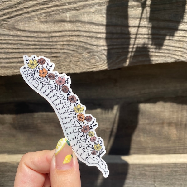 Spine Anatomy Sticker - Spine With Florals - Vinyl Sticker - Stickers for Hydroflask, Laptops, Planners, & More!