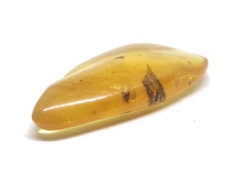 Copal piece with inclusions / Columbian amber