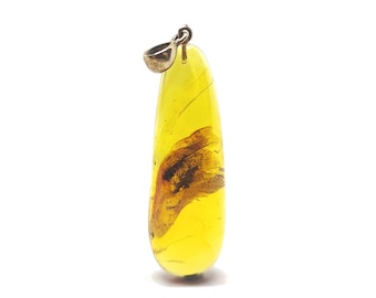 Baltic amber pendant with insect
