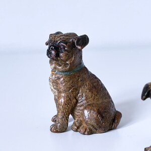 An Austrian cold painted &#39;Vienna Bronze&#39; pug. Circa 1900