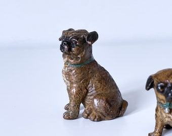 An Austrian cold painted 'Vienna Bronze' pug. Circa 1900