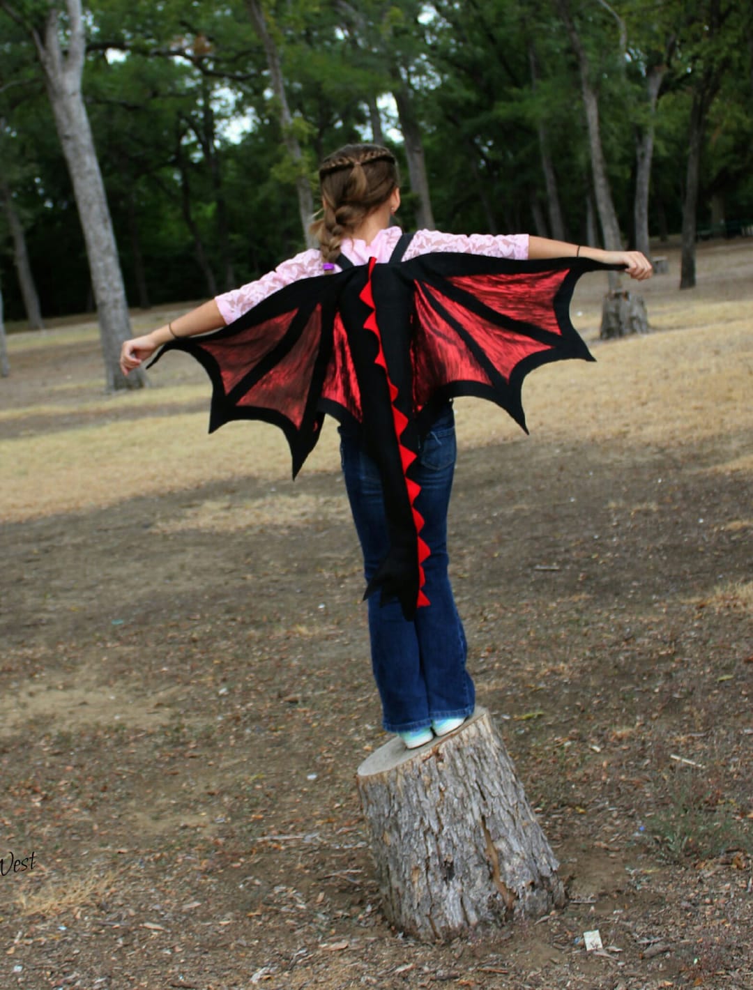 Dragon costume clearance mens