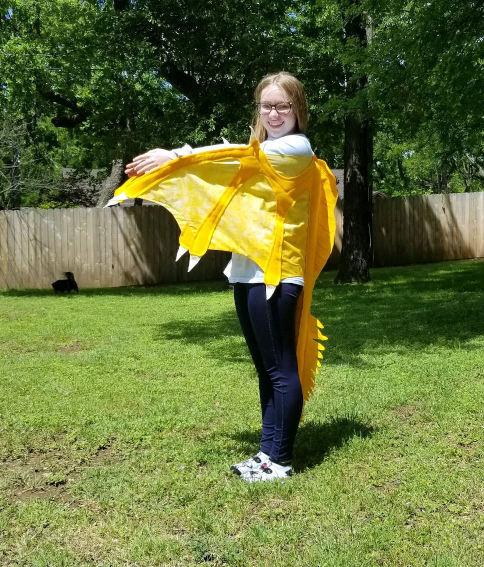 Wings Of Fire Sunny Human