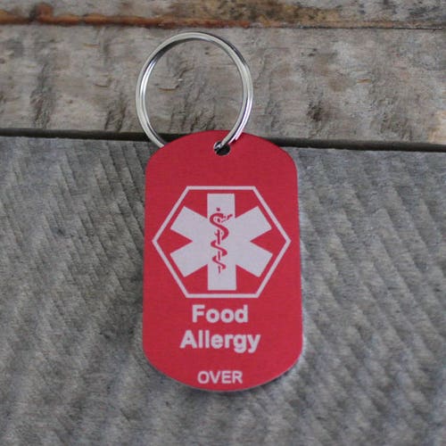 Engraved Dog Tagsfood Allergy ID Tagsanodized Aluminum Laser Etsy