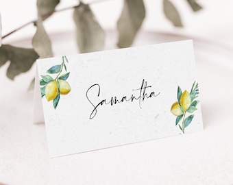 Cartões de lugar dobráveis para convidados de casamento, com eucalipto-limão italiano, cartões de nome de convidados personalizados.