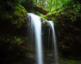 Forest Waterfall Great Smoky Mountains National Park, Grotto Falls, Appalachian Mountain, Landscape Photograph, Mountain Stream, Cabin Decor