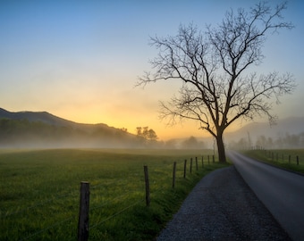 Warm Glow Sunrise in Cades Cove, Great Smoky Mountains National Park, Tennessee Art, Fog, Wall Decor, Fog, Landscape Photograph
