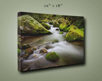 The Roaring Fork – Great Smoky Mountains National Park