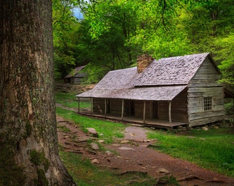 Rustic Cabin in Smoky Mountains National Park, Appalachian Mountain, Modern Rustic, Green, Fine Art Print, Landscape, Photography, Tennessee