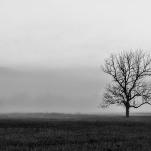 Cades Cove Sunrise in Great Smoky Mountains National Park, Tennessee Art, Black White, Landscape Photography, Rustic Wall Decor