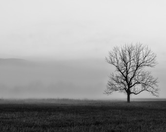 Cades Cove Sunrise in Great Smoky Mountains National Park, Tennessee Art, Black White, Landscape Photography, Rustic Wall Decor