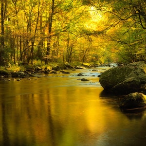 Water Reflections Mountain Stream, Autumn Photo, Falls Leaves, Smoky Mountains National Park, Country Life, Fine Art Photograph, Moody Art
