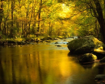 Water Reflections Mountain Stream, Autumn Photo, Falls Leaves, Smoky Mountains National Park, Country Life, Fine Art Photograph, Moody Art