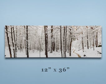 Snow Covered Trees Great Smoky Mountains National Park, Pano, Panorama, Winter Photography, Path, Moody, Appalachian Mountain, Snow