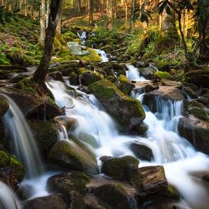 Peut inclure: Une cascade d'eau se d&eacute;verse sur des rochers recouverts de mousse dans une for&ecirc;t luxuriante et verdoyante. L'eau est claire et p&eacute;tillante, et la lumi&egrave;re du soleil filtre &agrave; travers les arbres, cr&eacute;ant une atmosph&egrave;re magique.