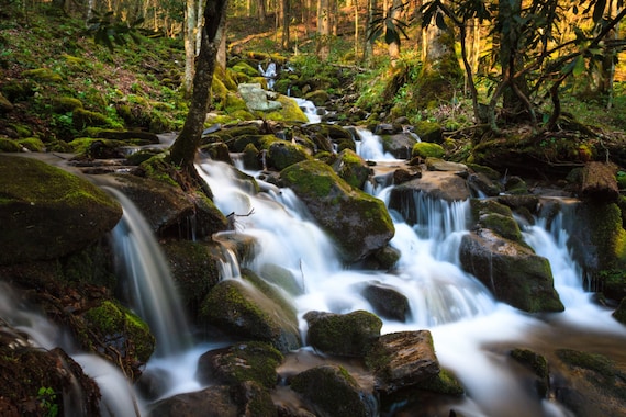Cascades Waterfall Print, Smoky Mountains National Park, Tennessee Art, North Carolina Art, Landscape Photograph, Wall Decor, Rustic Decor