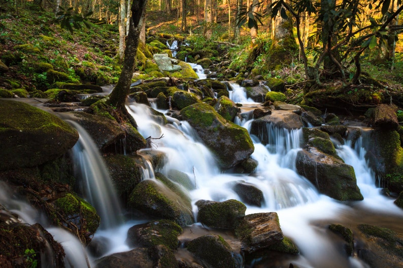 Peut inclure: Une cascade d'eau se d&eacute;verse sur des rochers recouverts de mousse dans une for&ecirc;t luxuriante et verdoyante. L'eau est claire et p&eacute;tillante, et la lumi&egrave;re du soleil filtre &agrave; travers les arbres, cr&eacute;ant une atmosph&egrave;re magique.