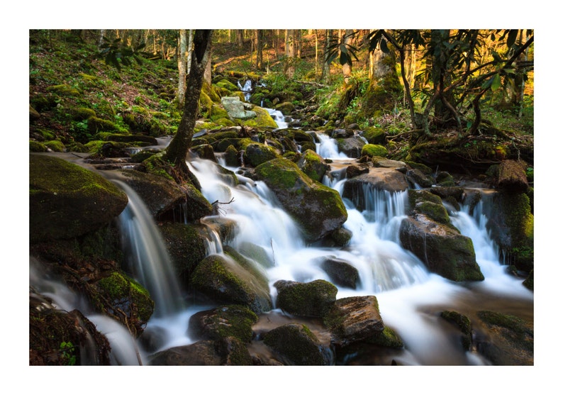 Peut inclure: Une cascade d'eau se d&eacute;verse sur des rochers recouverts de mousse dans une for&ecirc;t luxuriante et verdoyante. L'eau est claire et p&eacute;tillante, et la lumi&egrave;re du soleil filtre &agrave; travers les arbres, cr&eacute;ant une atmosph&egrave;re magique.