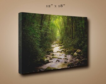 Tree Tunnel, Smoky Mountains National Park, Water Stream, Tennessee Art, North Carolina Art, Nature Scenes, Wall Decor, Outdoor Photography
