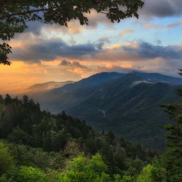 Sunrise at Newfound Gap Great Smoky Mountains National Park, Landscape Photograph, Appalachian Mountain, North Carolina Art, Tennessee Art