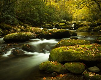 Autumn Light Peeking Mountain Stream in Great Smoky Mountains National Park, Fall Colors, Nature Scenes, Water Stream, Landscape Photograph