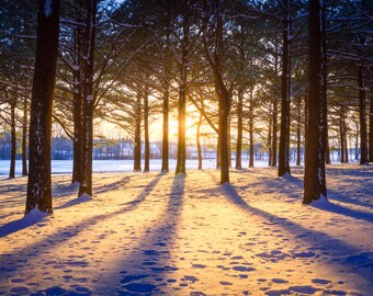 Winter Sunset, Winter Wonderland, Winter photography, Kentucky Art, Lexington Ky, Landscape Photograph, Home Decor, Snow, Winter scene