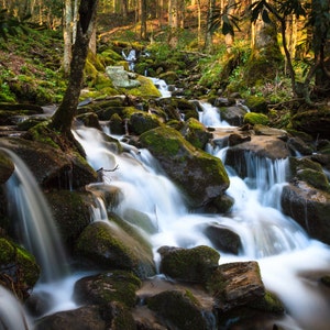 Peut inclure: Une cascade se d&eacute;verse sur des rochers recouverts de mousse dans une for&ecirc;t luxuriante et verdoyante. L'eau est floue en raison d'une longue exposition, cr&eacute;ant un effet soyeux et lisse.