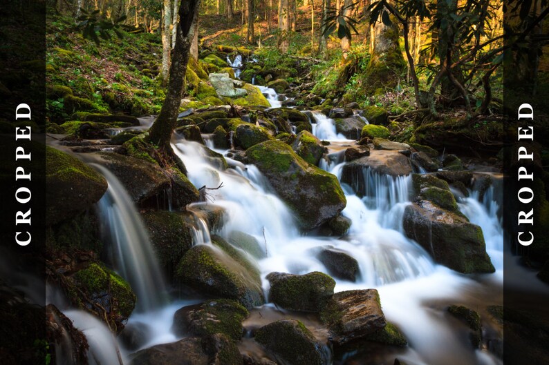Peut inclure: Une cascade se d&eacute;verse sur des rochers recouverts de mousse dans une for&ecirc;t luxuriante et verdoyante. L'eau est floue en raison d'une longue exposition, cr&eacute;ant un effet soyeux et lisse.