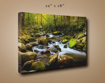 Mountain Stream in Great Smoky Mountains National Park, Appalachian Mountain, Nature Photography, Green, Woodland Decor, Tennessee