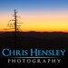 Chris Hensley