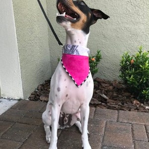 Dog Bandana n' Cat Bandana-Springtime Pink Bicycle image 10