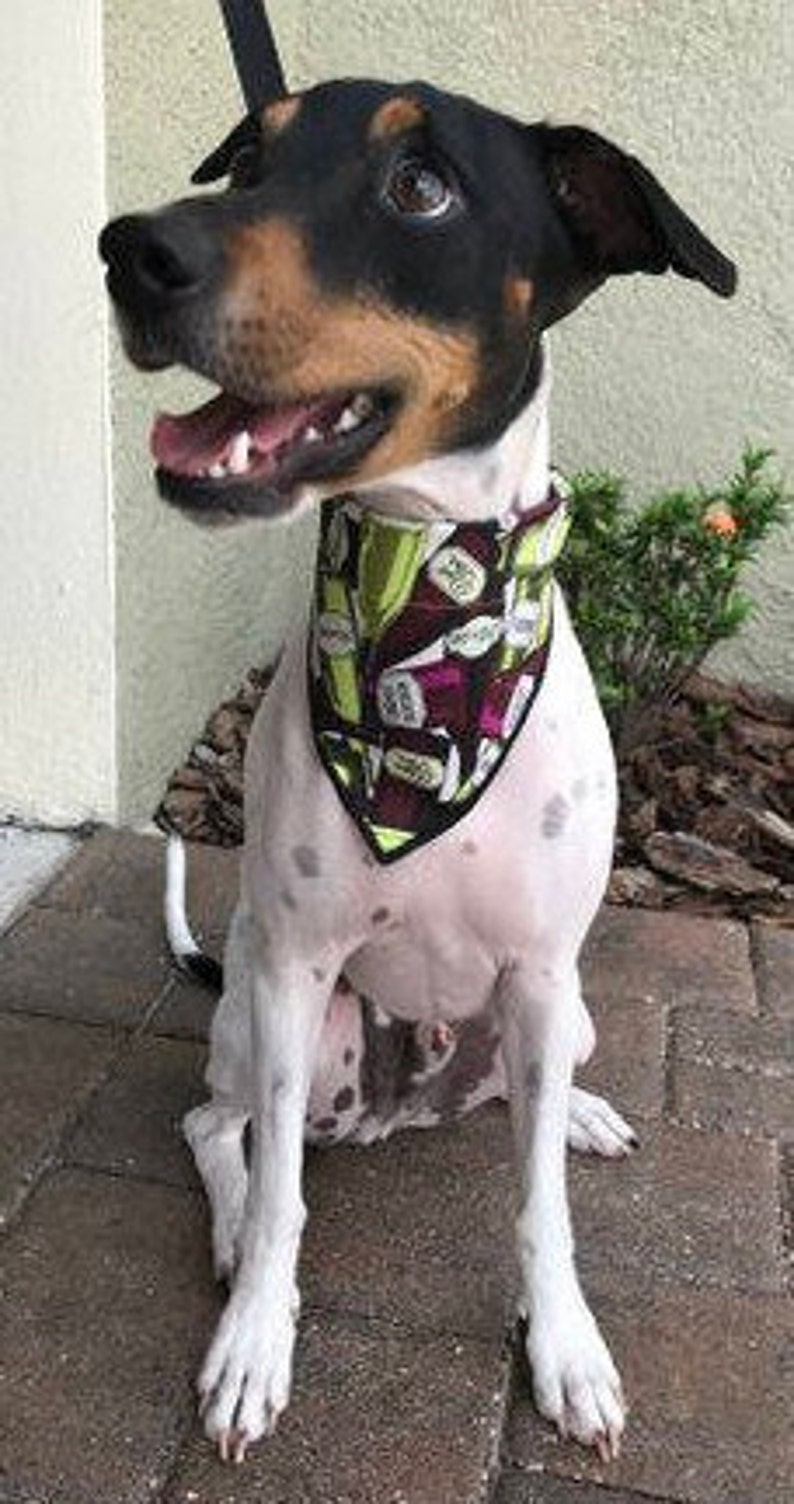 Dog Bandana n' Cat Bandana-Springtime Pink Bicycle image 8