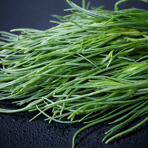 以下が含まれることがあります： 黒い背景に、新鮮な緑色のハマボウフウ、別名海のスパржаスが束ねられています。ハマボウフウは積み重ねられており、茎の先端は上向きになっています。