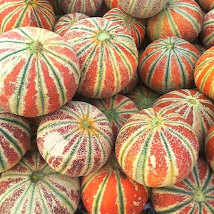 Kajari melon - Etsy 日本