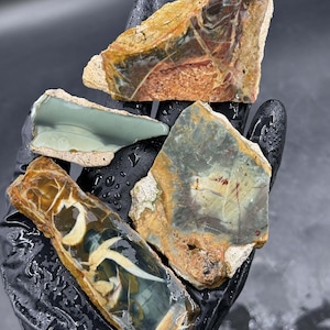 May include: Four pieces of polished agate with various patterns and colors, including green, brown, and white. The agate is a natural stone with a smooth, polished surface.