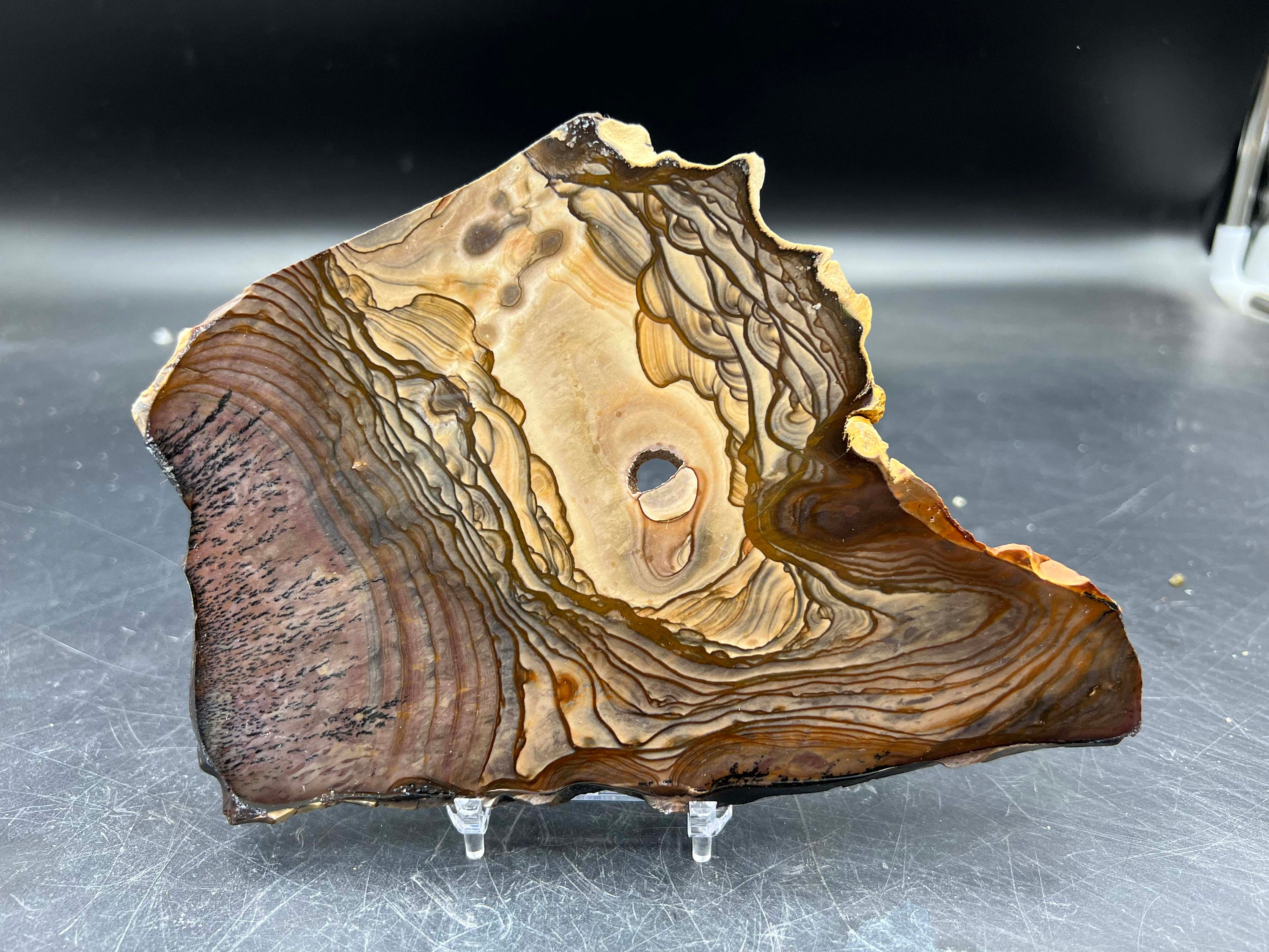 Blue Biggs Picture Jasper Polished Slab - Etsy