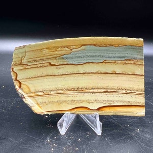 Wildhorse picture jasper