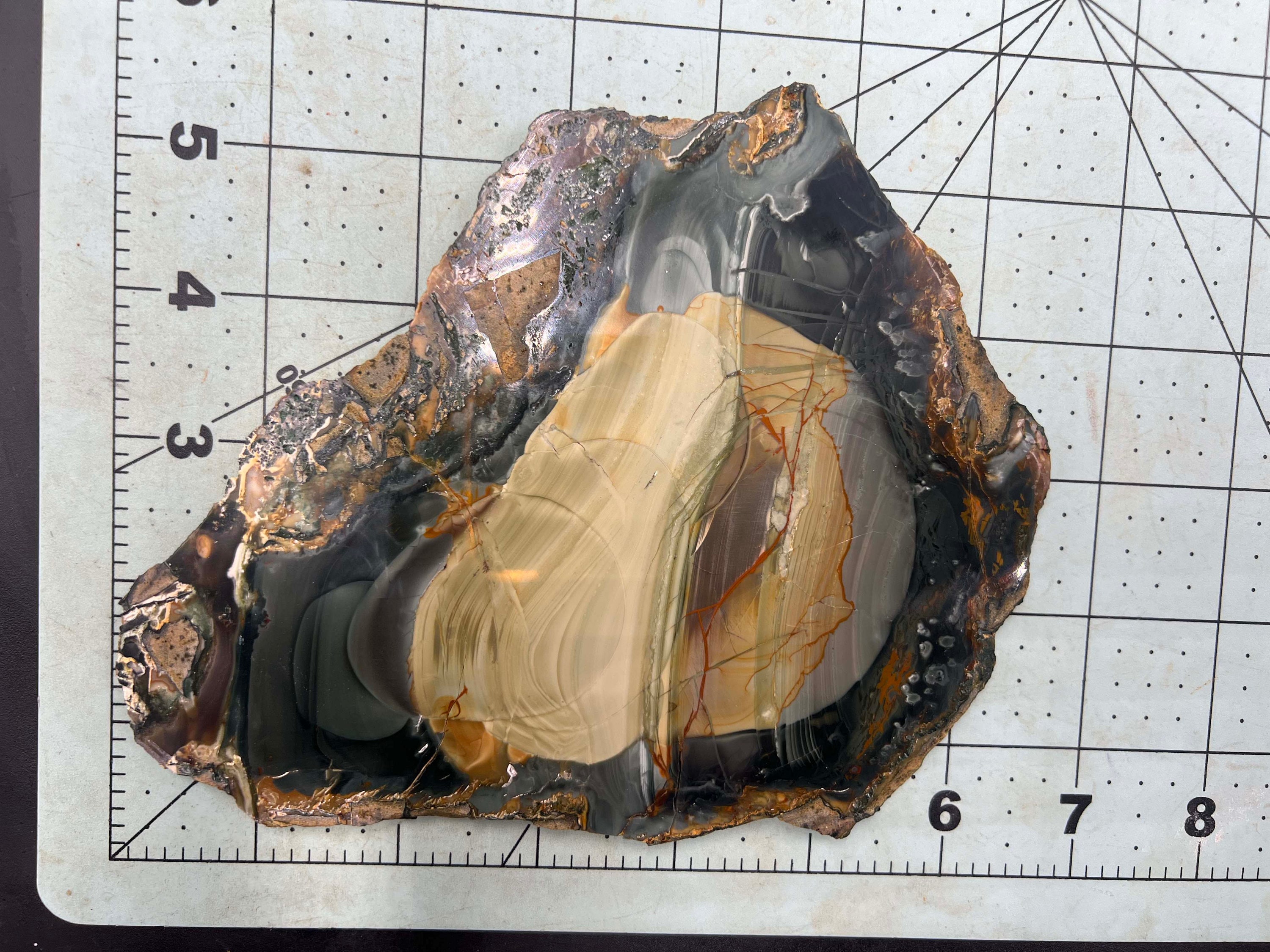 Blue Mountain Picture Jasper Polished Slab - Etsy