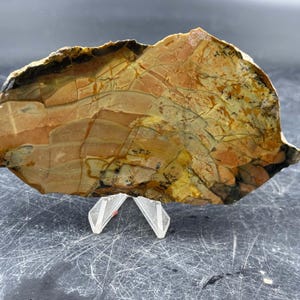 Puede incluir: Una piedra natural con una forma irregular y distintiva, con una paleta de colores cálidos. La piedra presenta tonos de beige, marrón y amarillo, con patrones y texturas complejos. Se presenta sobre un soporte transparente e inclinado, destacando su belleza natural. Ideal para la decoración del hogar.