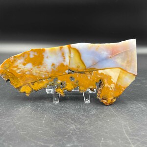 Polka Dot Agate gepolijste eindsnede