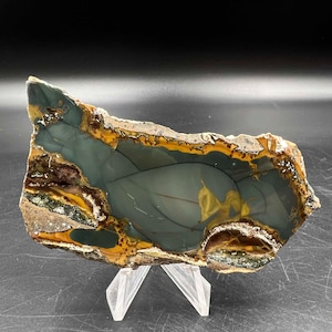 Double Polished Blue Mt picture jasper