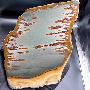Gem Owyhee picture jasper polished