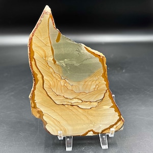 Wildhorse picture jasper polished
